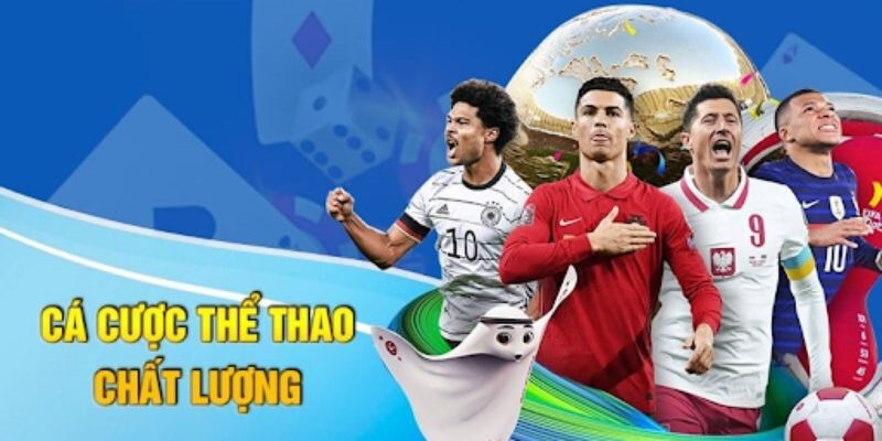 Thể thao Iwin Trải nghiệm người dùng tại Thể thao Iwin